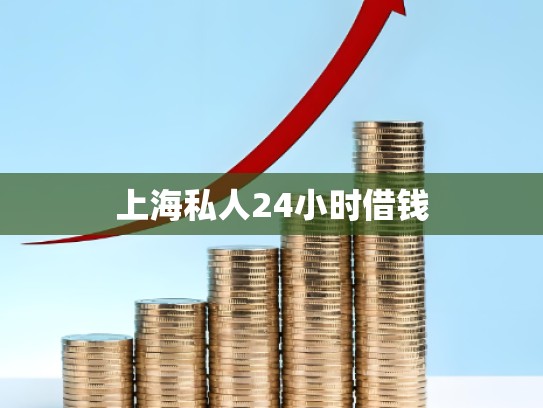 上海私人24小时借钱