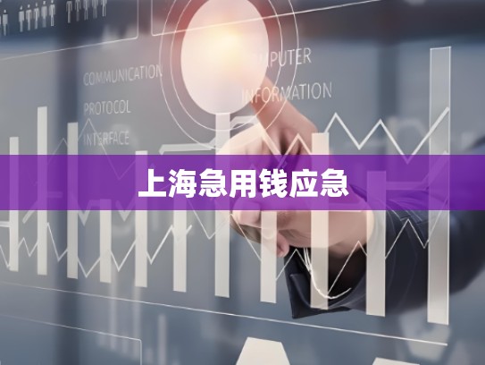 上海急用钱应急