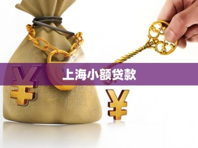 上海小额贷款