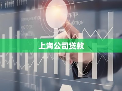 上海公司贷款